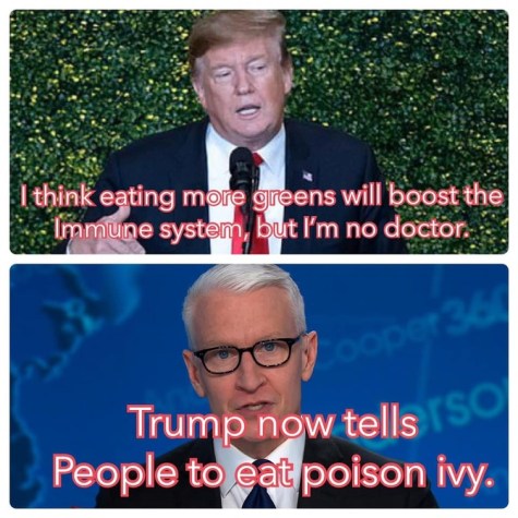 2020_04 27 CNN greens