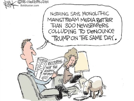 2020_05 03 MEDIA collusion