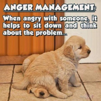 2020_05 06 anger management