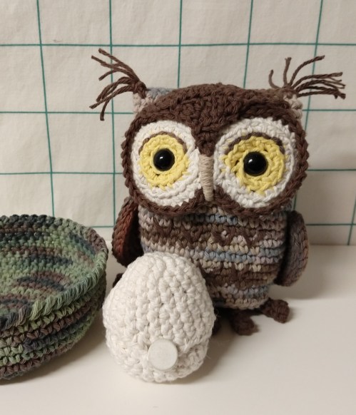 2020_05 12c Owl w egg and nest