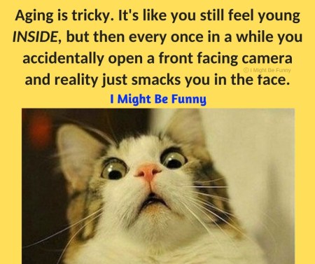 2020_05 13 CAT aging