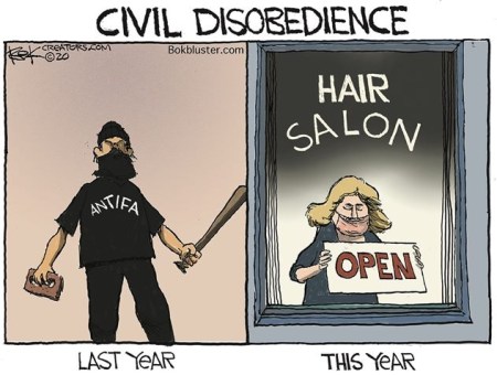 2020_05 15 civil disobedience