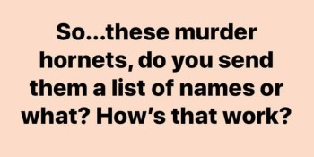 2020_05 17 murder hornets