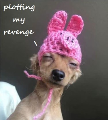 2020_05 18 DOG crochet pig hat