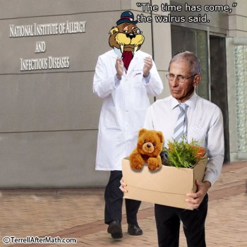 2020_05 19 fauci by terrell