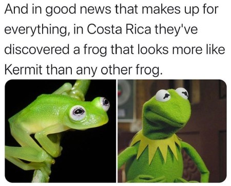 2020_05 19 kermit