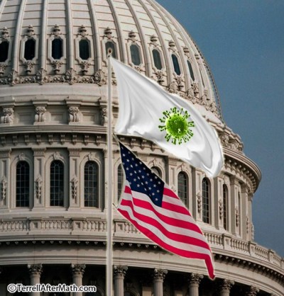 2020_05 21 flu d'etat