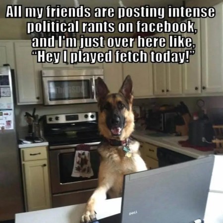 2020_05 23 DOG fetch