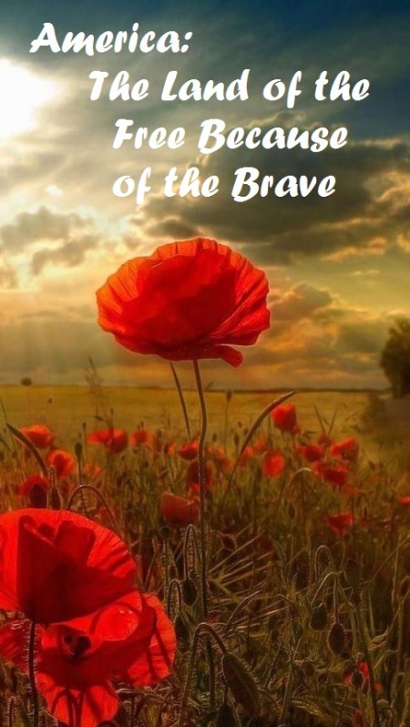 2020_05 25 Flanders Field photo