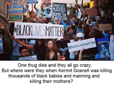 2020_006 09 BLM Gosnell