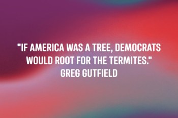 2020_06 04 Democrats termites