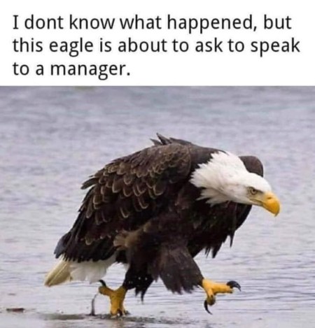 2020_06 06 Eagle get the manager