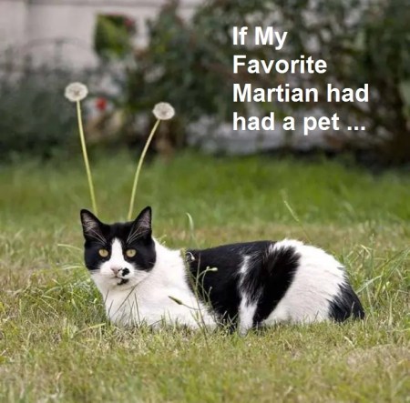 2020_06 09 cat my favorite martian