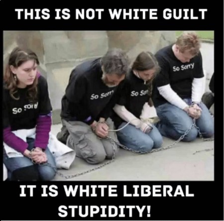 2020_06 09 liberal white stupidity