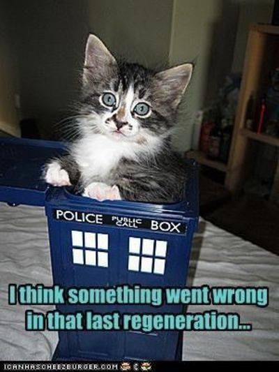 2020_06 10 tardis kitty