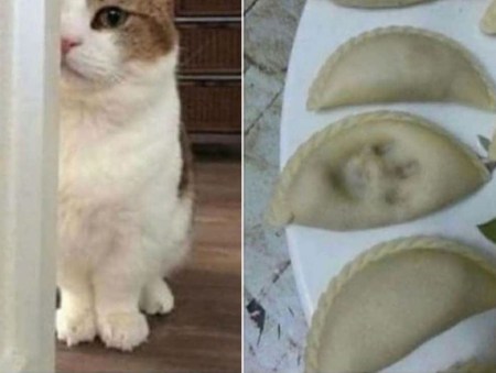 2020_06 12 CAT pasta