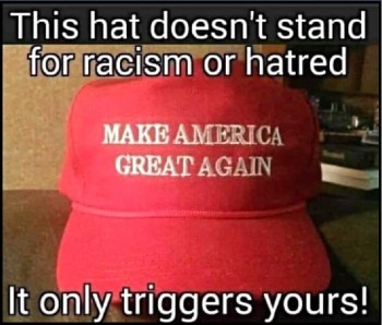 2020_06 22 maga hat trigger
