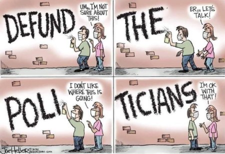 2020_06 25 Defund the Politicians
