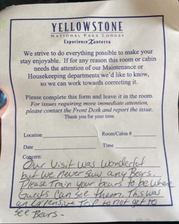 2020_06 30 train your bears