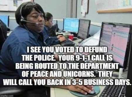 Defund police 911