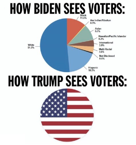2020_07 02 Biden v Trump voters