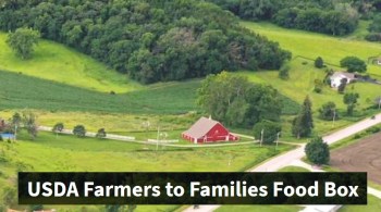 2020_07 08 feed hungry