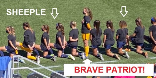 2020_07 11 Sheeple v Brave Patriot