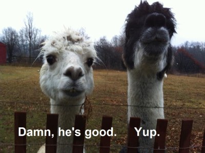 2020_07 15 Damn he's good