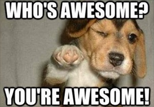 2020_07 20 DOG You're awesome