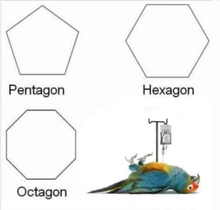 2020_07 27 PARROT gone