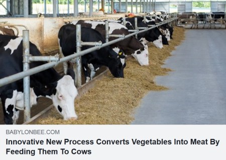 2020_07 28 veggies to meat