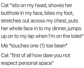 2020_07 31 CAT personal space