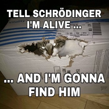 2020_08 07 schrodinger's cat