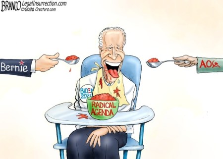 2020_08 08 BIDEN radical