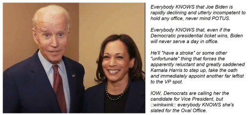 2020_08 12 biden harris