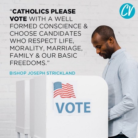 2020_08 13 Catholic vote