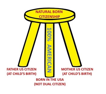 2020_08 13 natural born citizen