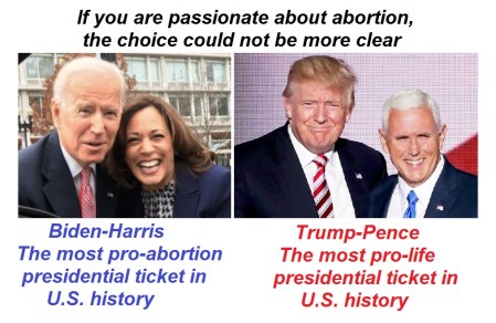 2020_08 14 Abortion 2020