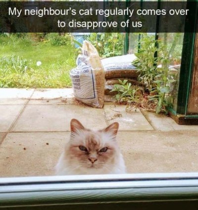 2020_08 15 CAT disapproval