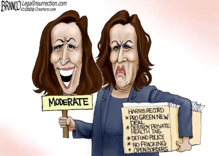 2020_08 15 Kamala Moderate by Branco