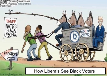 2020_08 16 liberals see blacks