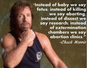 2020_08 17 Abortion chuck norris