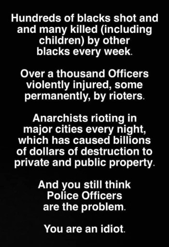 2020_08 17 you are an idiot