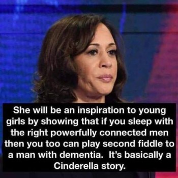 2020_08 18 Kamala cinderella