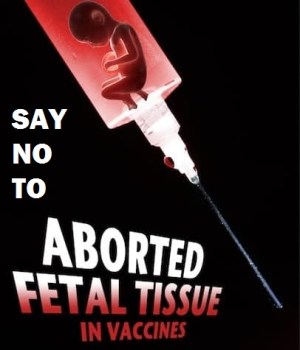 2020_08 20 fetal tissue