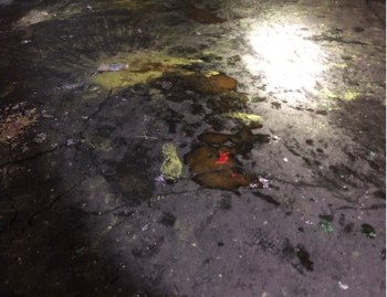 2020_08 24 portland poo